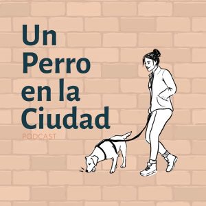 Perros de Ciudad