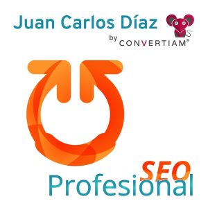 SEO Profesional