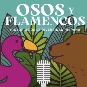 Osos y flamencos