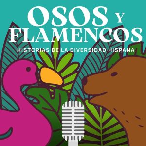 Osos y flamencos
